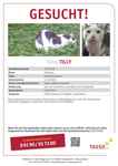 Tasso Plakat Tilly