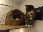 Tuffi und Tilly auf der Korbplattform