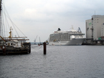 MS The World am Harniskai Flensburg