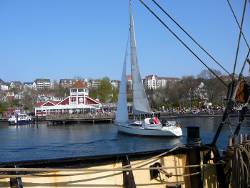Segler im Flensburger Hafen