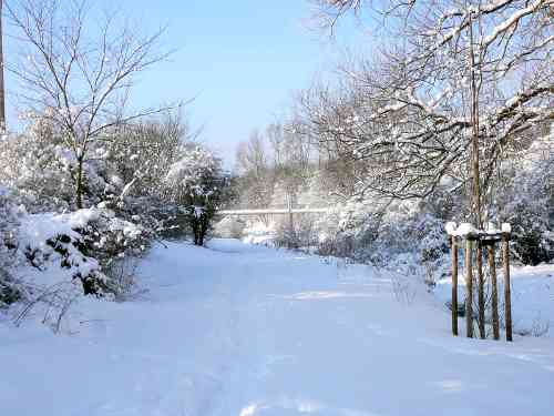 Lautrupsbachtal im Schnee