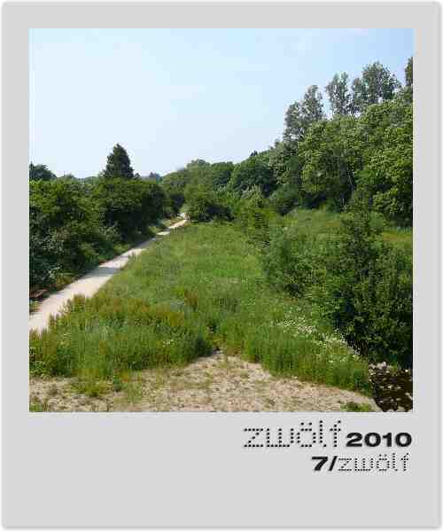 Projekt zwölf2010 Foto Juli