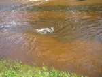 Hochwasser in der Lise-Meitner Strasse