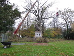 Aufräumarbeiten nach Orkantief Christian auf dem Mesumsberg Flensburg