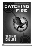 Catching Fire