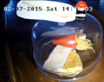 WebCam: Der letzte McDonalds Burger Islands