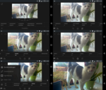 Adobe Photoshop Lightroom
