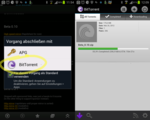 BitTorrent Beta