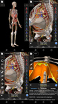 Essential Anatomy 3