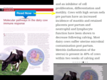 Issuu Mobile