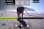 Snip Video Trimmer