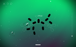 Splice